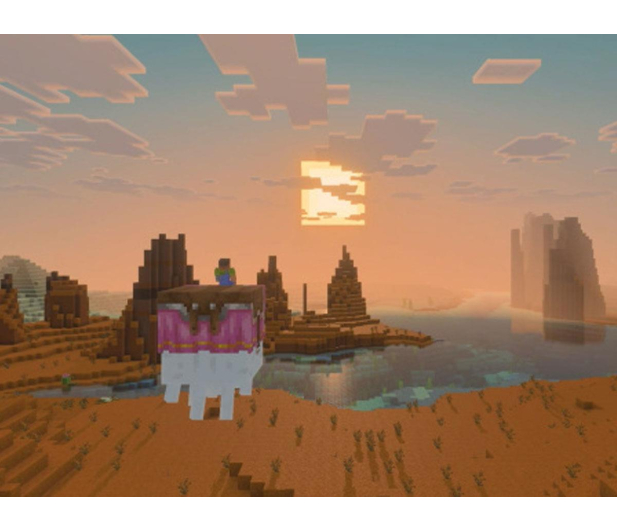 Switch Minecraft - 1583143 - zdjęcie 2